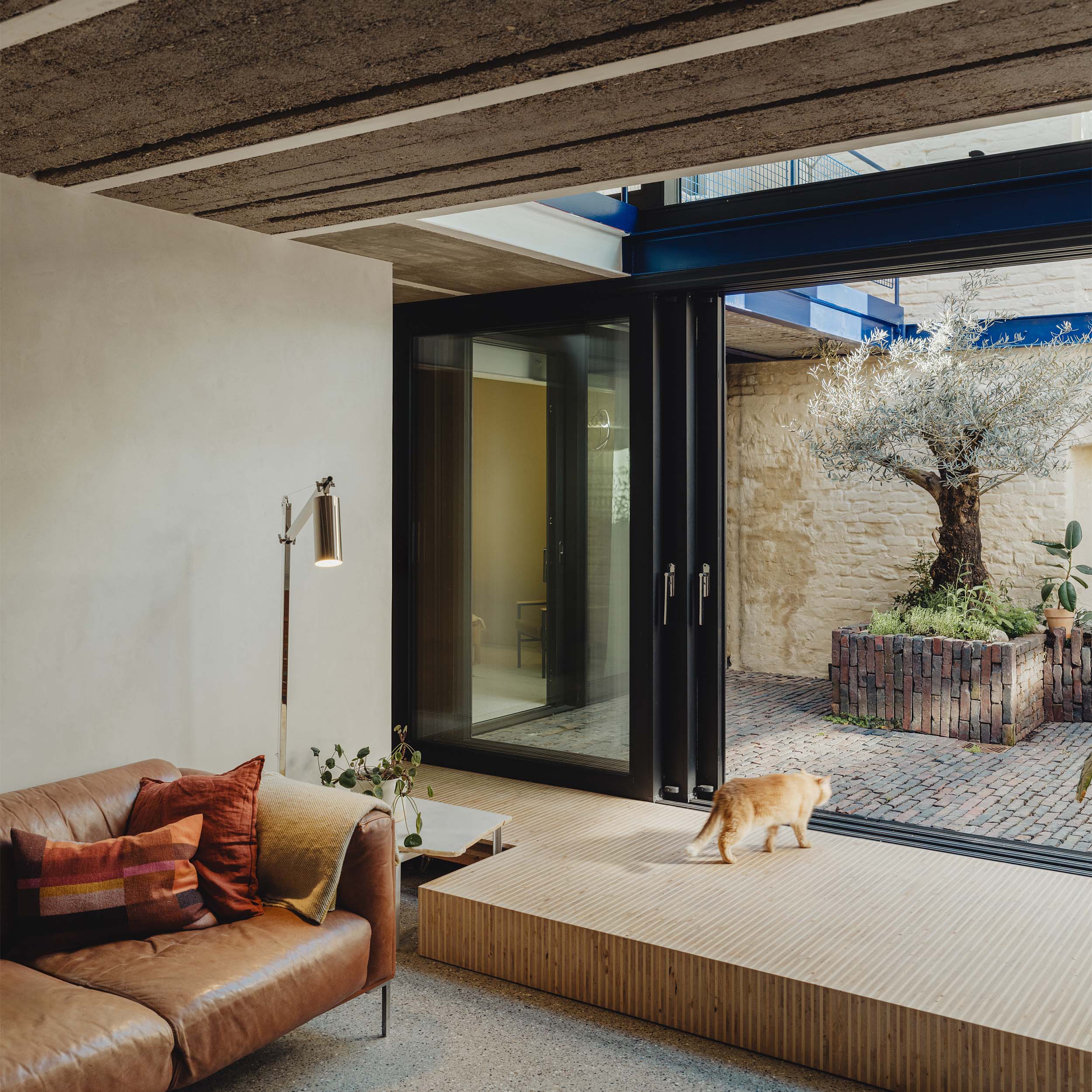 patiohaus bremen kollektiv nach oben patiohaus alte schreinerei architekturfotografie patrick johannsen